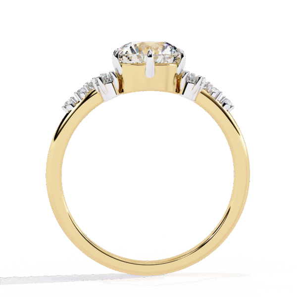 3D Design 16 – Engagement Wedding Ring - Image 11
